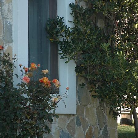 Mavikarga Bozcaada Bed & Breakfast エクステリア 写真