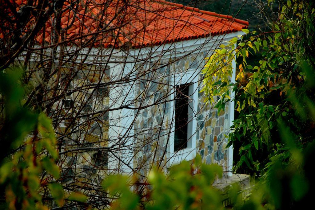 Mavikarga Bozcaada Bed & Breakfast エクステリア 写真