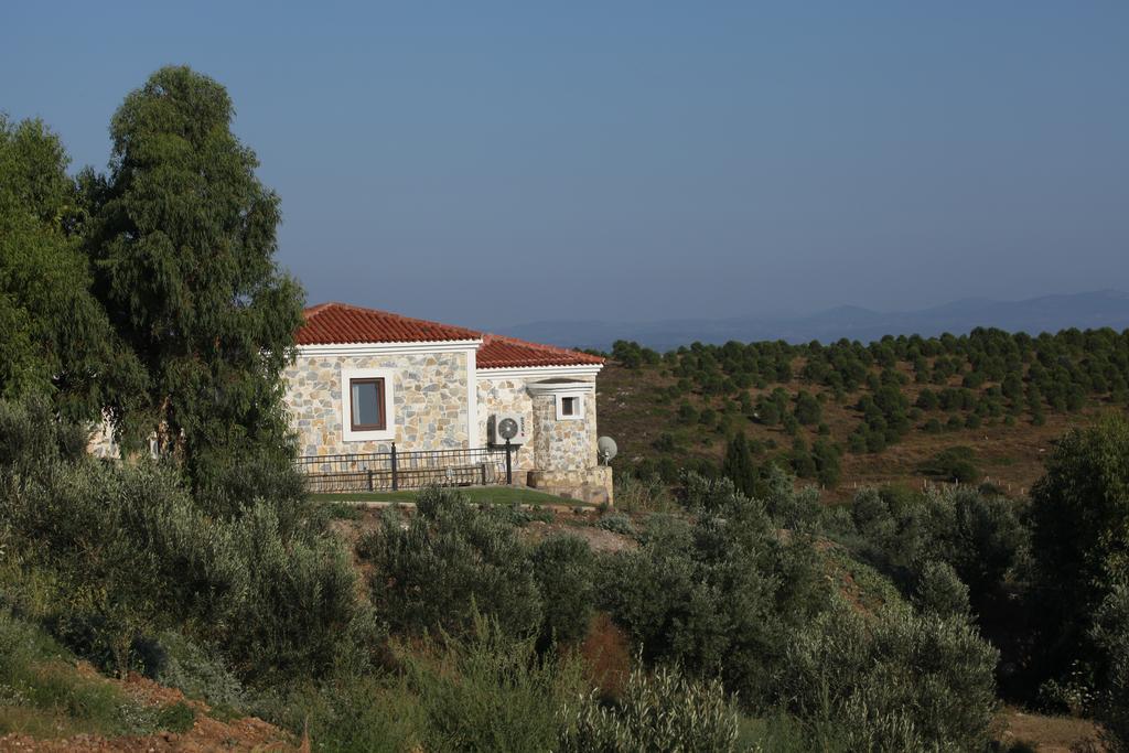 Mavikarga Bozcaada Bed & Breakfast エクステリア 写真