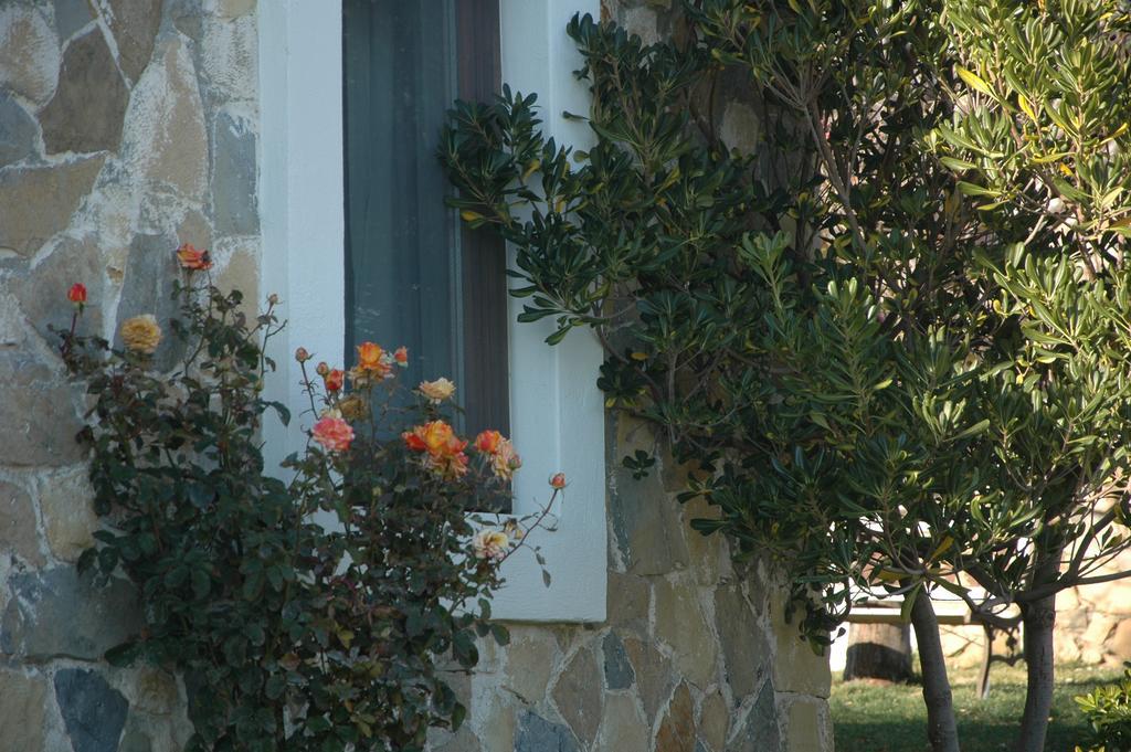 Mavikarga Bozcaada Bed & Breakfast エクステリア 写真