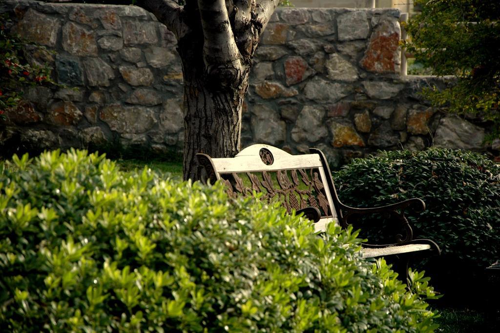 Mavikarga Bozcaada Bed & Breakfast エクステリア 写真